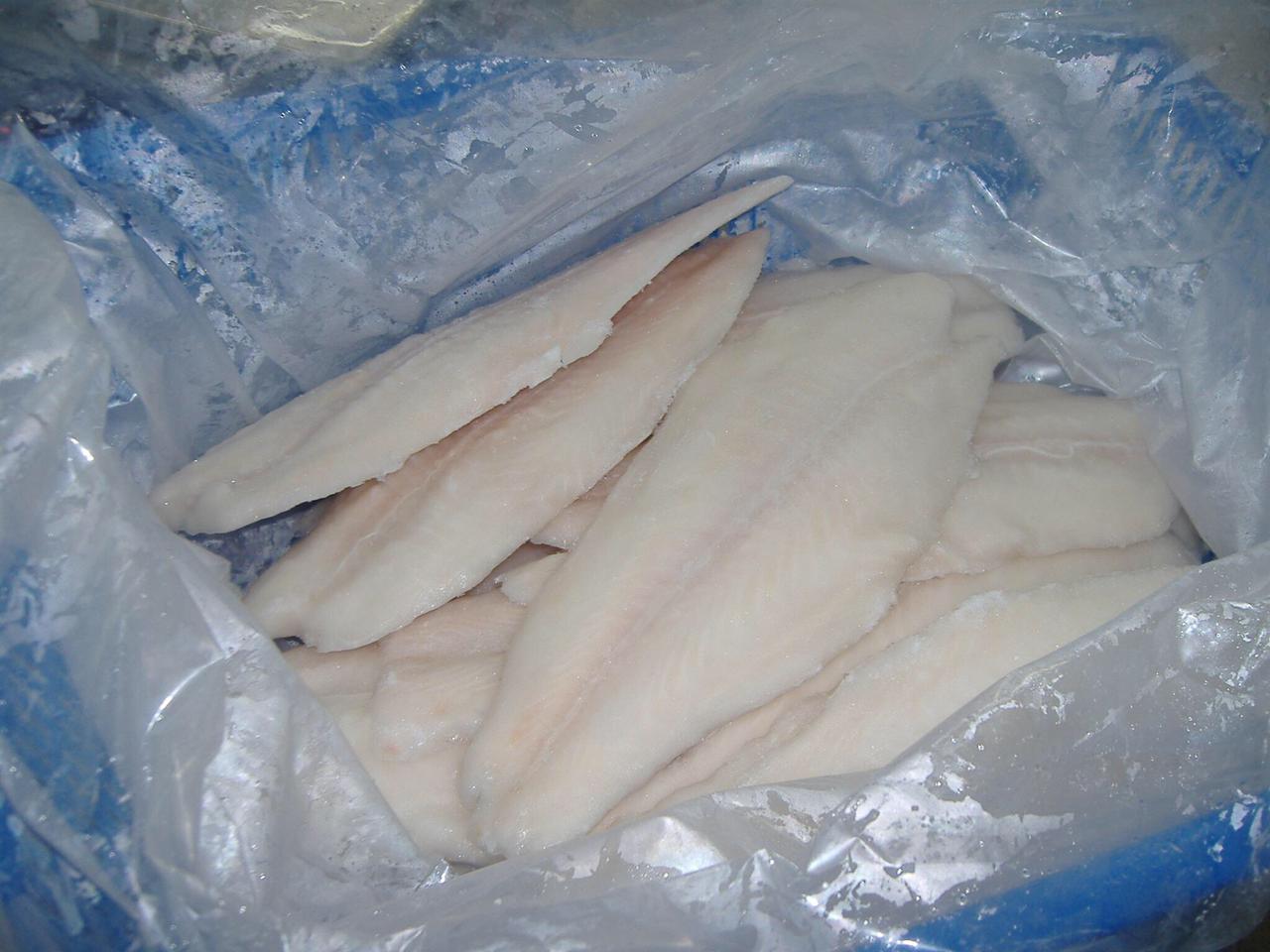 IQF basa fillets ready for cold-chain dispatch.