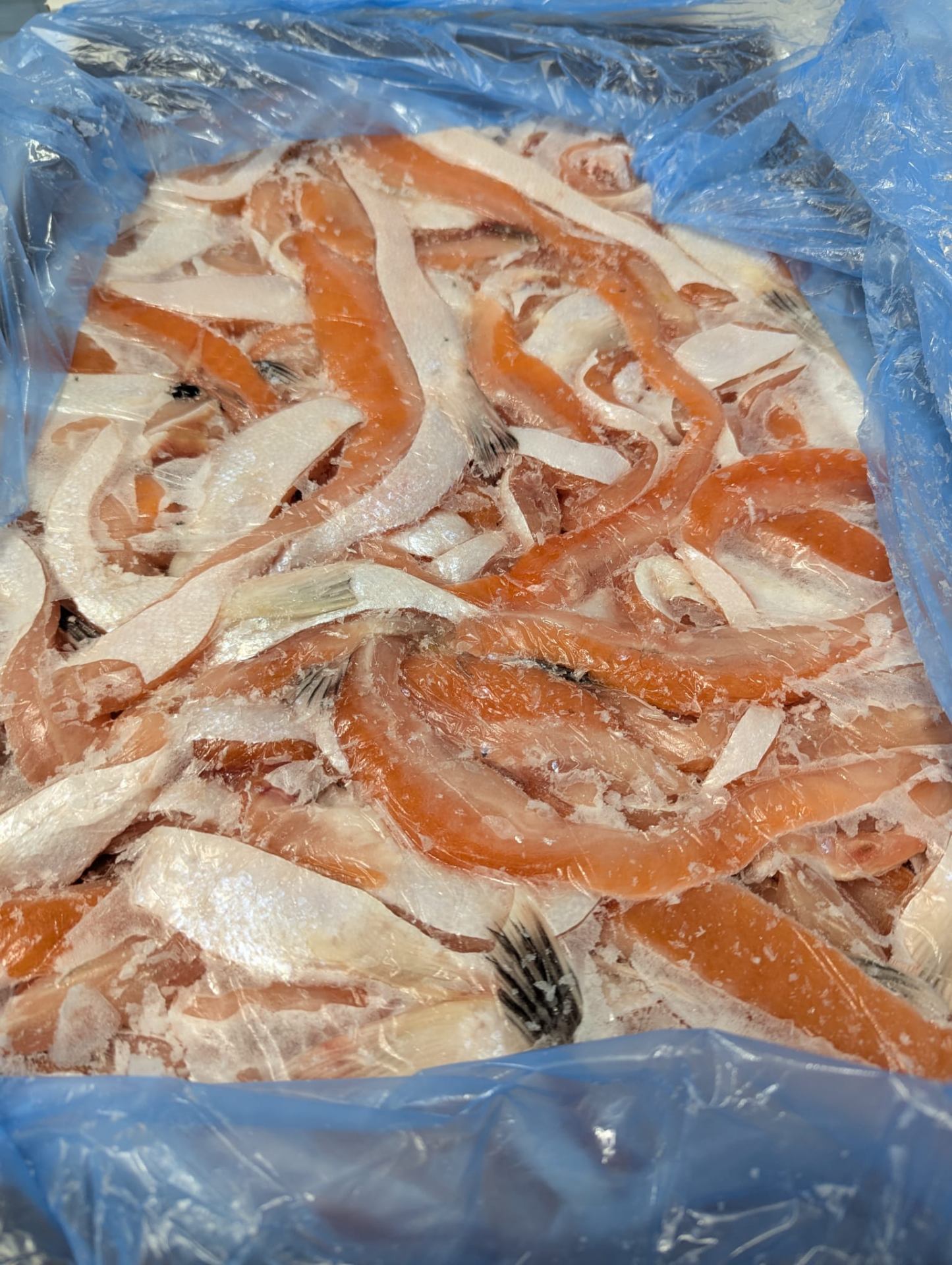 Salmon belly and trim — value cuts for processors.