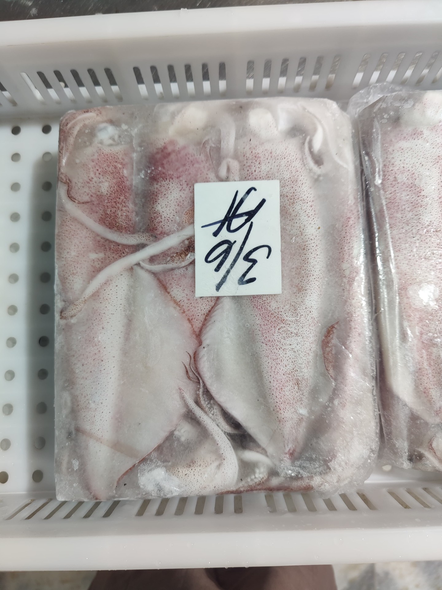 IQF squid, size 3/5 — clean, uniform tubes.