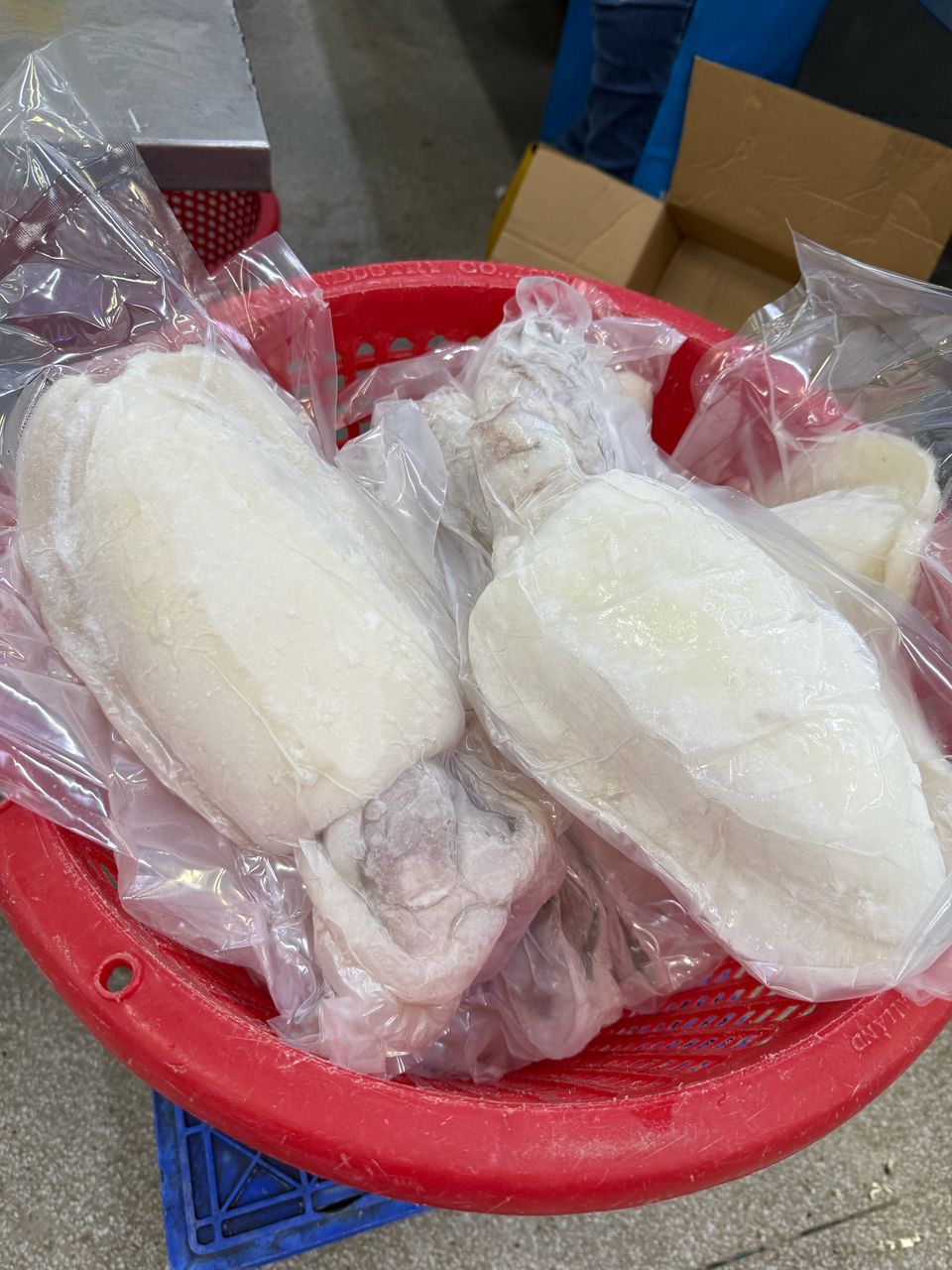 Premium whole cuttlefish, individually vacuum-sealed.