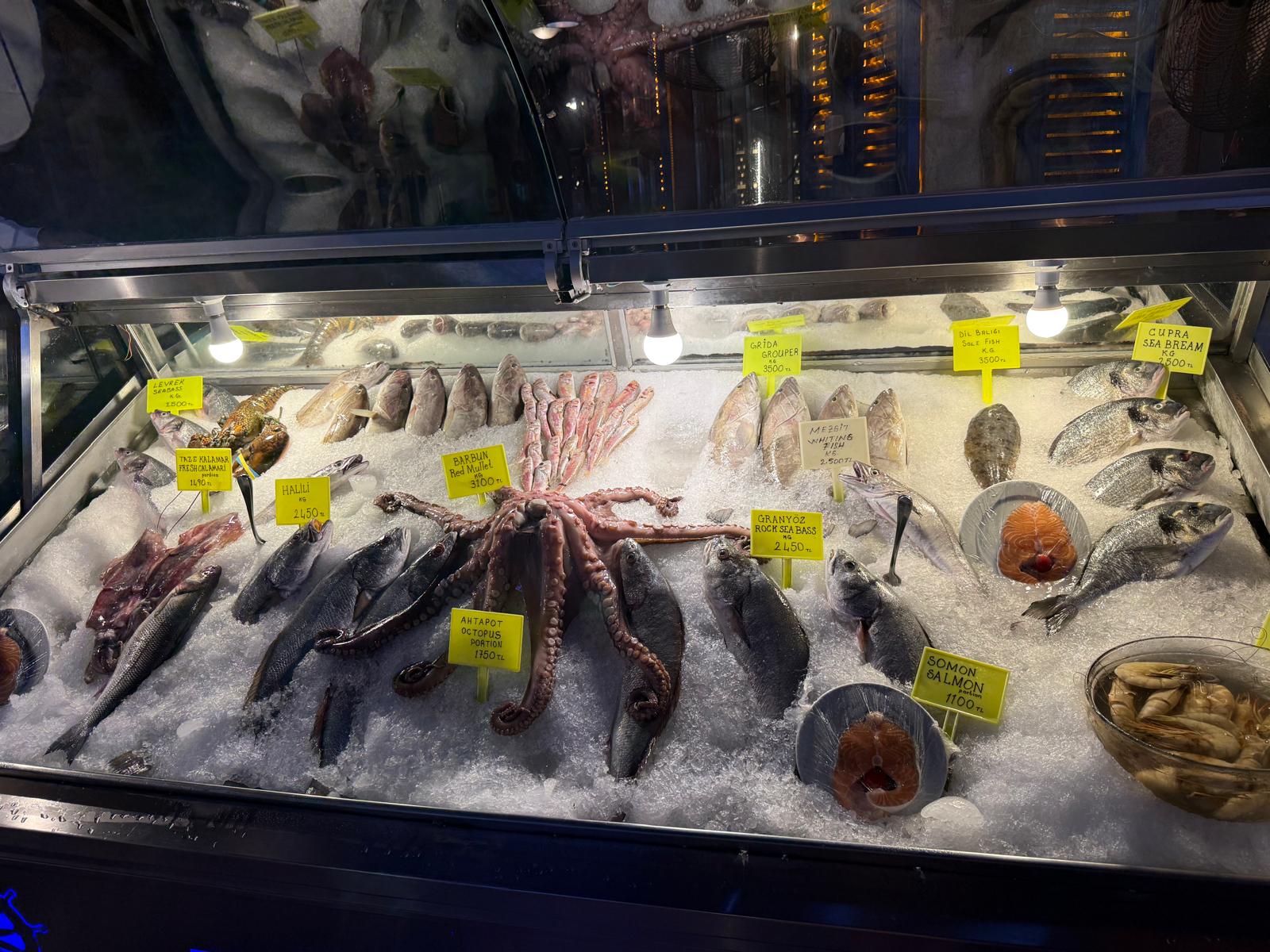 Whole octopus, salmon steaks and fresh fish on a retail ice bed.